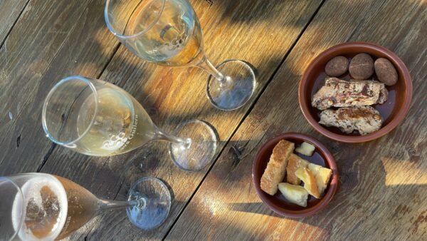 cava tasting experience from barcelona