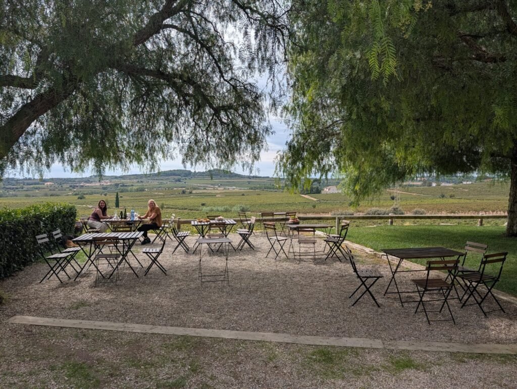 Winery near Tarragona